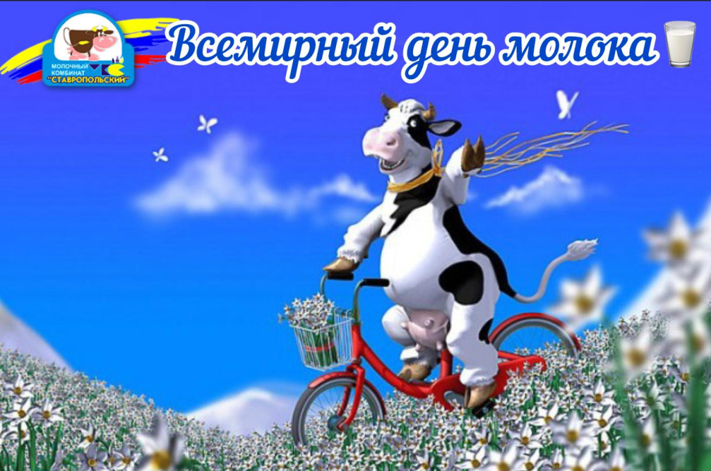 WhatsApp Image 2025-06-01 at 10.16.23 (1).jpeg